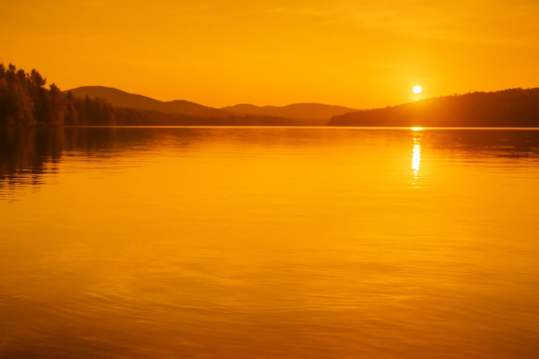 Moodulo : un quai qui garde sa valeur